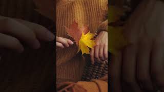 Leaf me alone editing editor effects music photography videoediting vibes autumn [upl. by Yemrej781]