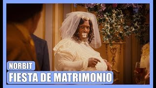 Fiesta de matrimonio  NORBIT [upl. by Doris]