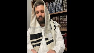 Chazan Yisroel Rubinfeld Sings Rav Opmans Malchuyos  A Treat For Australia In Lockdown From [upl. by Gnahc]