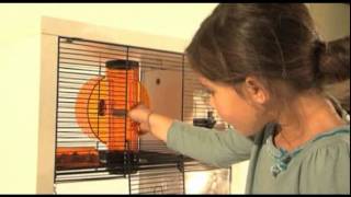 The New Qute Hamster Cage from Omlet [upl. by Nilrac]