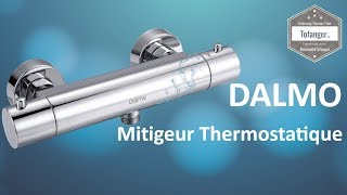 Mitigeur Thermostatique Douche  Dalmo DBWF01GR  Laiton H59  Unboxing et installation robinet [upl. by Eixirt]