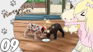 Lets Play Nintendogs  Cats Toy Poodle  EP09 Play date ⊂・▽・⊃ [upl. by Nylarat374]