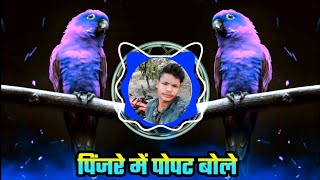 Pinjre Mein Popat Bole Adi Dhamal Mix  DJ PAWAR MP28 [upl. by Sands]