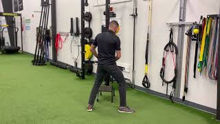 Sidestepping with Arm Support with Progressions [upl. by Byrn]