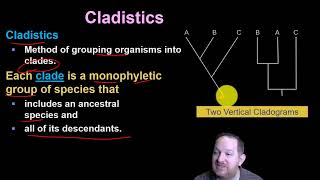 41 Systematics Phylogeny and Cladistics [upl. by Wileen822]