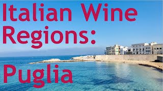 Italian Wine Regions  Puglia [upl. by Bobbye615]