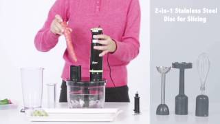 Oster 6in1 Multi Purpose Hand Blender  2620 [upl. by Veljkov15]