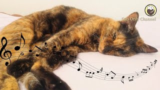 Cat Music  Soft Calm Music with Cat Purring Sound [upl. by Rowell]