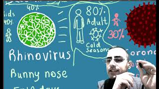 6y Can you catch the same cold twice Common cold viruses [upl. by Simara]