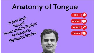 Anatomy of Tounge [upl. by Notnad20]