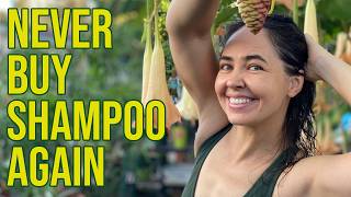 How to Grow ToxinFree Shampoo at Home [upl. by Anitnamaid]