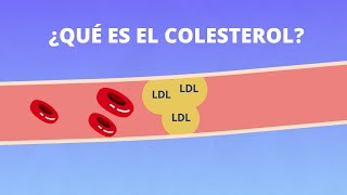 ¿Qué es el colesterol [upl. by Anaimad721]