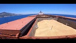 Bulk Cargo Hold cleaning – Best Practices [upl. by Nay]