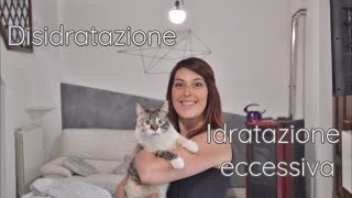 Disidratazione e idratazione eccessiva nel gatto come riconoscerle [upl. by Strage]