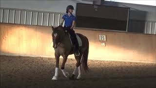 Jeremy Steinberg The Challenge Of Riding PRE Horses In Dressage [upl. by Narret124]