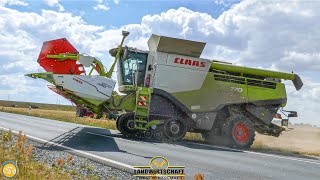 Großeinsatz bei der Getreideernte 4 Mähdrescher CLAAS LEXION 770 Terra Trac FARMING IN DEUTSCHLAND [upl. by Pontius870]