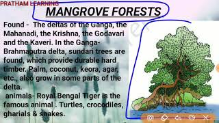 Tropical Mangrove Forests in hindi [upl. by Sykes]