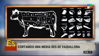 ¡Masterclass de cortes de carne para cuando vayas a la carnicería 🐄 [upl. by Cock]