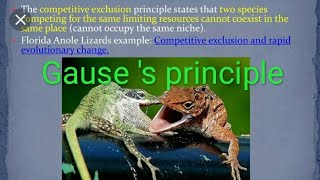 Gauses principle of competitive exclusion [upl. by Francene]