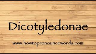 How To Pronounce Dicotyledonae  How To say Dicotyledonae New Video [upl. by Llerdnad]