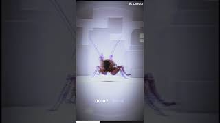 Roach edit roblox capcut roaches musica xd [upl. by Enilamme76]