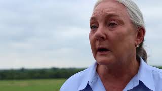 Water Heroes How Deborah Clark uses cattle grazing to heal the land [upl. by Ayvid426]