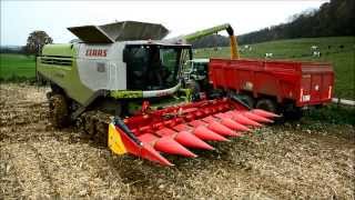 NEW Claas Lexion 770 TT  Corn Harvest [upl. by Ehcram]