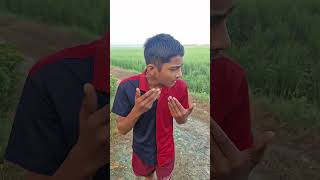 Barish pasina comedy funny trending dineshcomedygang shorts ytshorts short yt [upl. by Domeniga519]