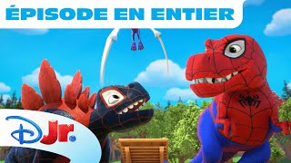 Spidey et ses amis extraordinaires  Moment Magique  Allez les dinos [upl. by Jephthah974]