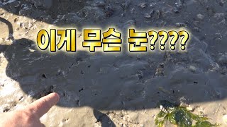 뻘에 막나온다 최고의 시원함같이 잡으시죠  Cultivate Shells from the Mudflats [upl. by Ttsepmet678]