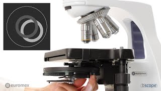 Euromex bScope phase contrast EN [upl. by Dyche]