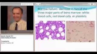 Aplastic Anemia 101 Understanding the Basics [upl. by Airam149]