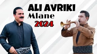 Ali avriki mlane 2024  علي افريكي ملانئ ٢٠٢٤ [upl. by Moriyama]