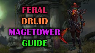 Feral Druid  Mage Tower  Guide  Voice  Dragonflight Season 4 1027 [upl. by Ainitsirc]