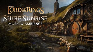 Lord of the Rings  Sunrise in the Shire Music amp Ambience 🌤️ [upl. by Naleek115]