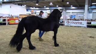 Frédéric Pignon and Phoebus at Equitana 22032015 [upl. by Herwin912]