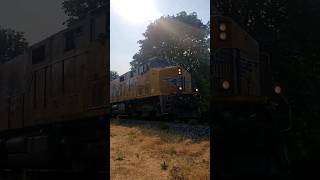 Union Pacific Run Through Power On BNSF Track In BC Canada [upl. by Kadner]