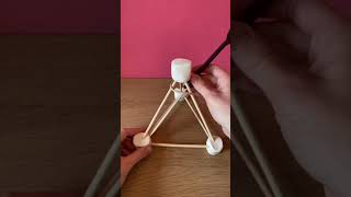 Marshmallow Catapult  STEM for Kids  shorts [upl. by Nayr]