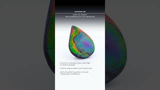 Ammolite Masterclass EP 08 How to Verify The Authenticity of Ammolite [upl. by Ecirtaeb429]