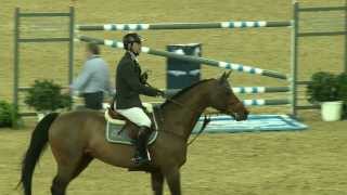 Doha GCT 1m55  Patrice Delaveau  Carinjo HDC  Jeudi 21 novembre 2013 [upl. by Anaili]