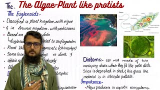 The algae plant like protists  class 11 [upl. by Huntlee]