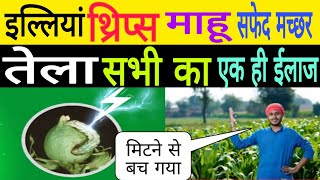 इल्लियां कंट्रोल कैसे करें  thrips control insecticide use [upl. by Mw644]