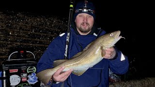 Sea Fishing For Winter Cod At Cowbar Jetty In Staithes [upl. by Akiemehs696]