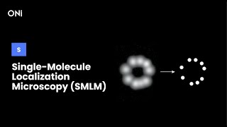 What is SingleMolecule Localization Microscopy SMLM [upl. by Thenna]