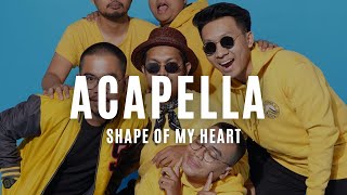 Backstreet Boys  Shape Of My Heart DVM Acapella Rehearsal [upl. by Acirret113]