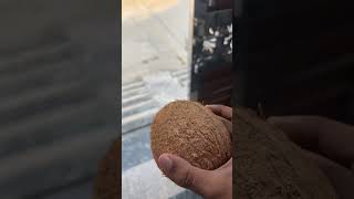 Nariyal ki chutni banawan ki recipe coconut coconutchatni dailyvlog cooking [upl. by Srednas817]