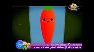 طيور الجنة بيبي أنا الجزرة toyor el janah baby [upl. by Leoy]