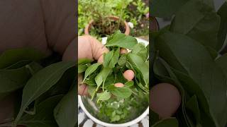 Regrow Wolfberry leaves cutting skills cuttingskills vegetablecarving cuttingvegetable cutting [upl. by Aeneas]