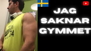 JAG SAKNAR GYMMET [upl. by Airol]