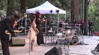 Sheila E Live at Stern Grove Festival [upl. by Oicirtap]